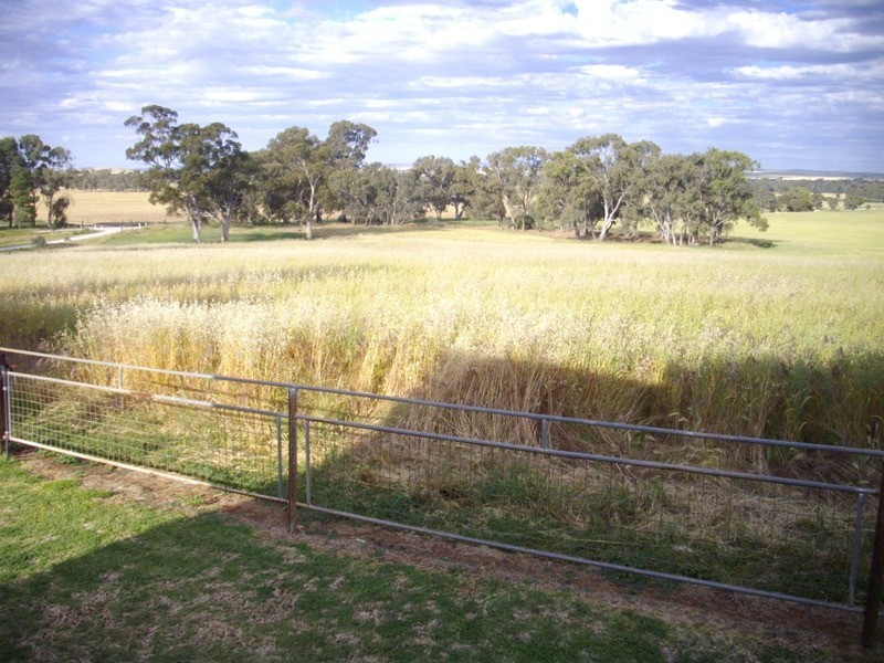 3 Quarry Road, Laura SA 5480