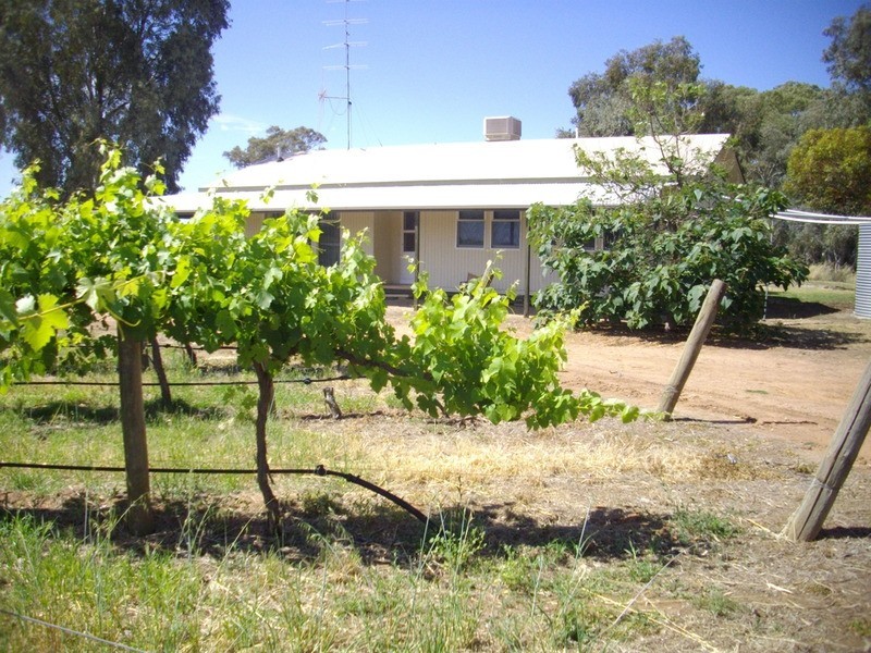Allotment 50 West Terrace South Laura, Laura SA 5480