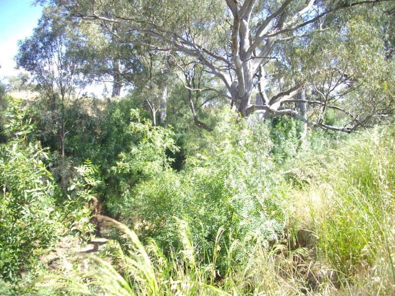 Allotment 50 West Terrace South Laura, Laura SA 5480