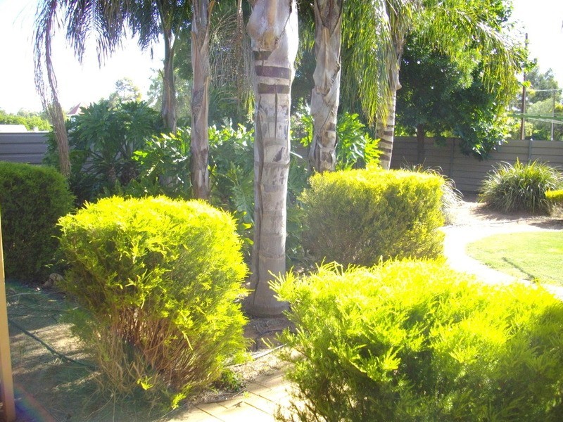 17 Mill Street, Laura SA 5480