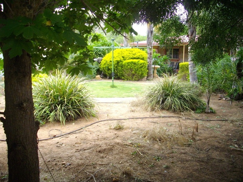 17 Mill Street, Laura SA 5480