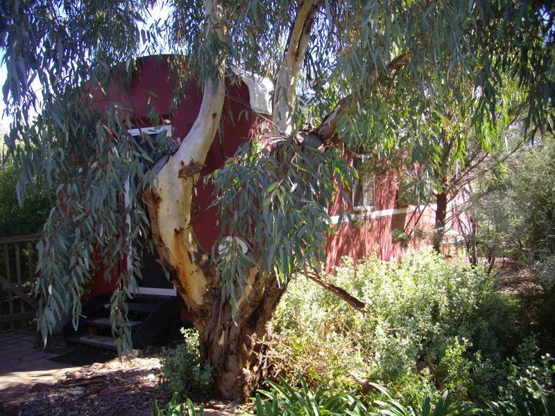 Lot 449 Diocesan Road, Melrose SA 5483