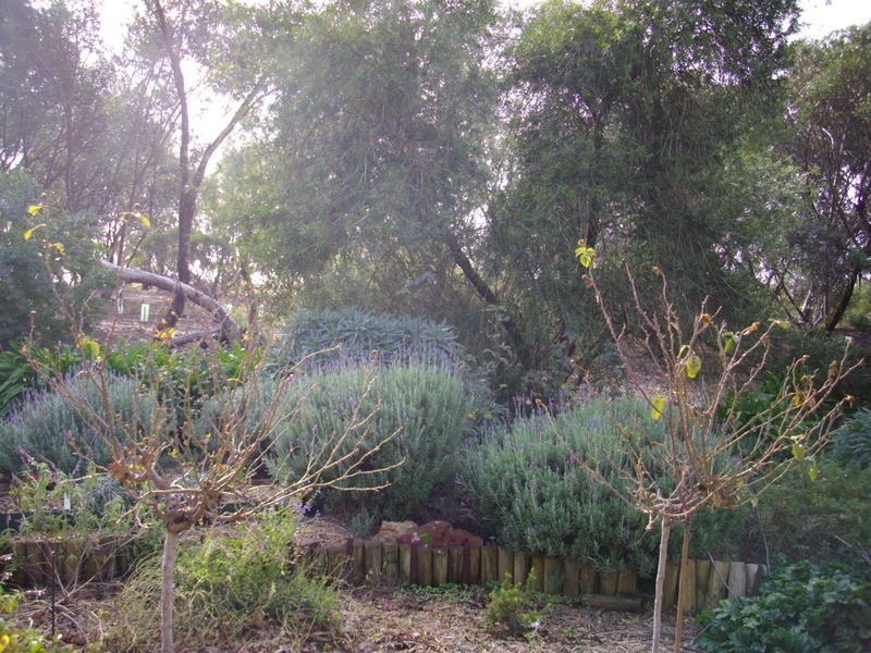 0 Main North Road, Gulnare SA 5471