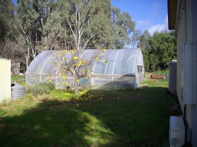 9 Sixth Street, Wirrabara SA 5481