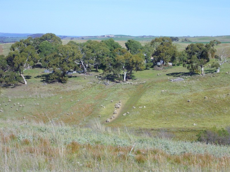 Palmer Rd Beetaloo Valley Via, Laura SA 5480