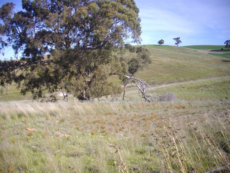 Palmer Rd Beetaloo Valley Via, Laura SA 5480