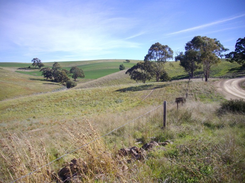 Palmer Rd Beetaloo Valley Via, Laura SA 5480