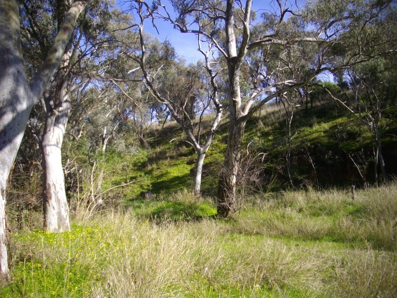 Beetaloo Valley Road Via, Laura SA 5480