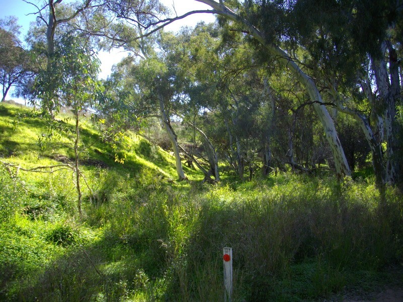 Beetaloo Valley Road Via, Laura SA 5480