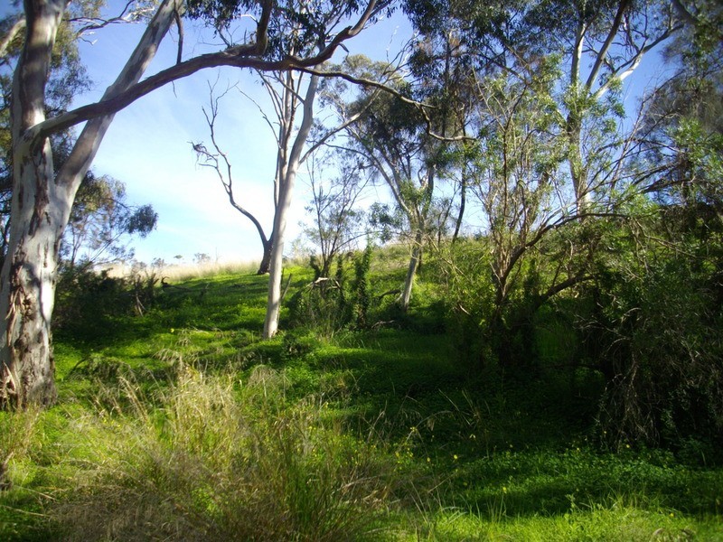 Beetaloo Valley Road Via, Laura SA 5480