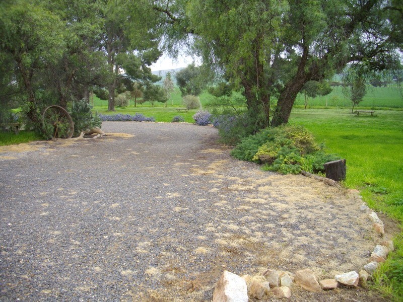 Southern Flinders Ranges, Gulnare SA 5471