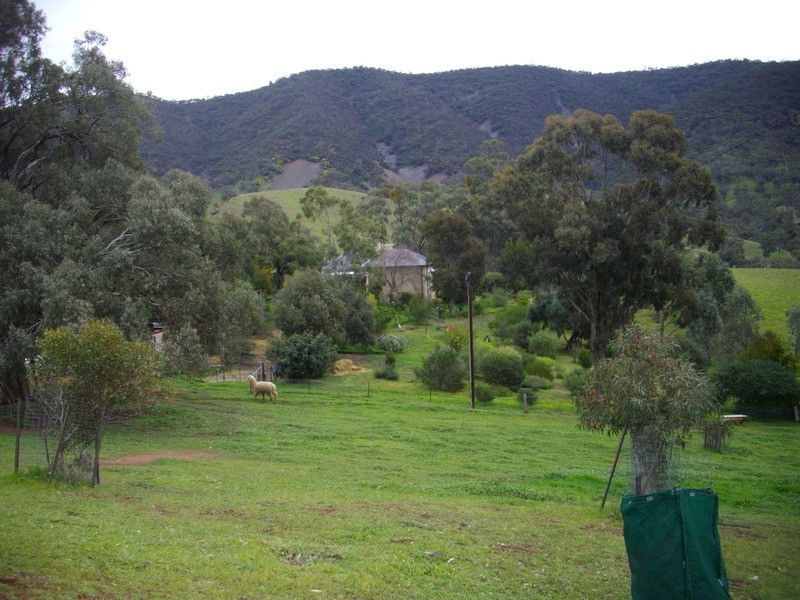 Lot 2 Survey Road, Melrose SA 5483