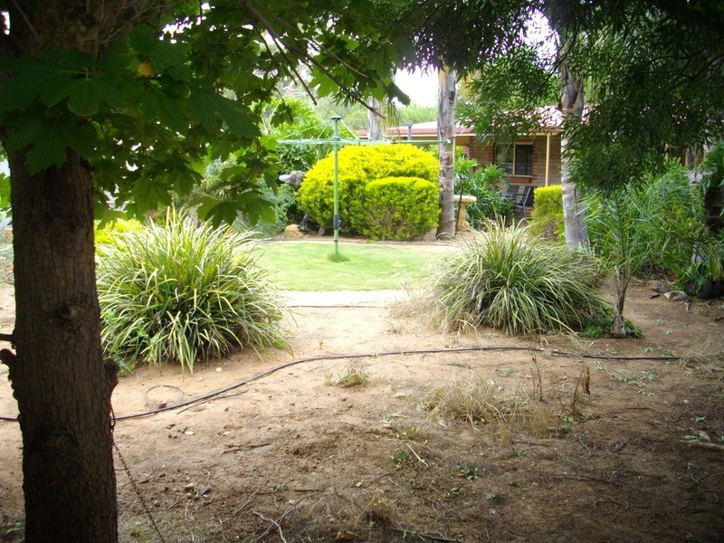 17 Mill Street, Laura SA 5480