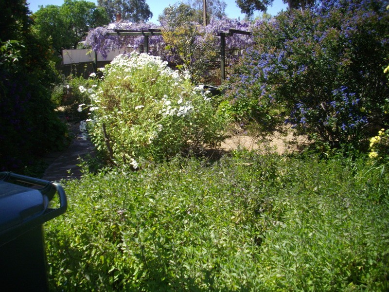 36 Garden  Street, Laura SA 5480