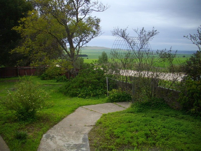 Southern Flinders Ranges, Gulnare SA 5471