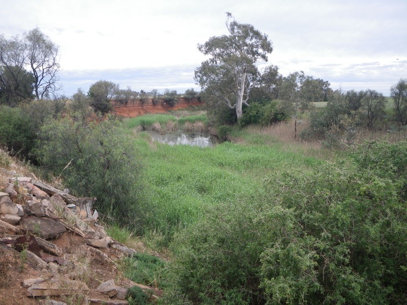 Main Road, Redhill SA 5521