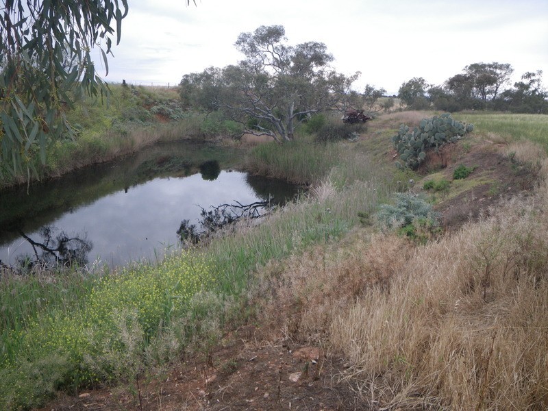 Main Road, Redhill SA 5521