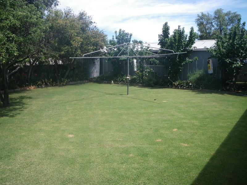 62 Gladstone Street, Gladstone SA 5473