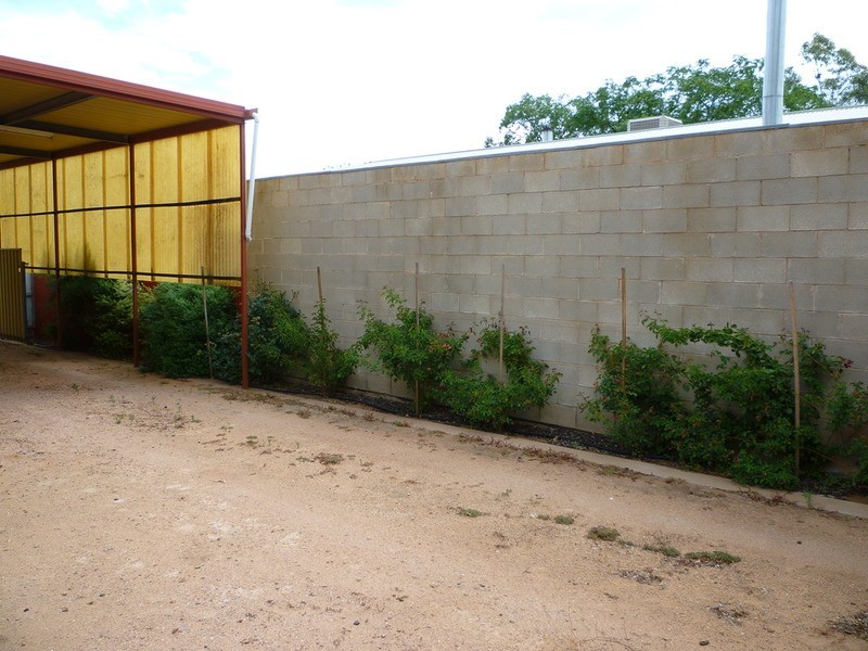 30 Second Street, Napperby SA 5540