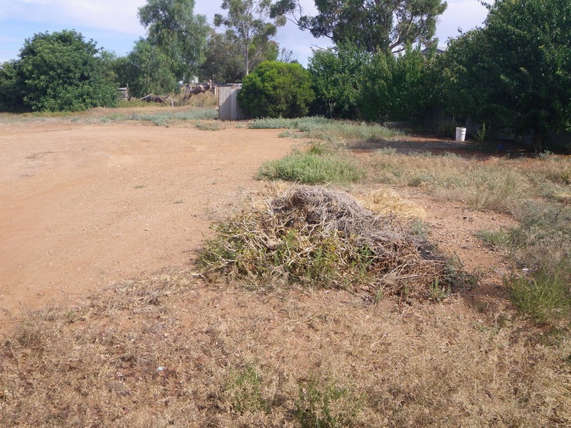 52 Park Terrace, Gladstone SA 5473