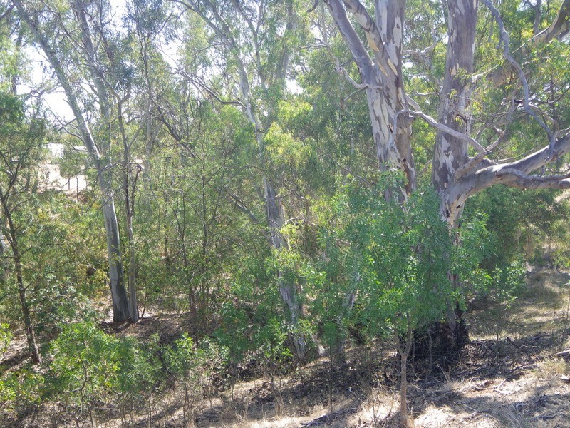 Laura Blocks Road, Laura SA 5480