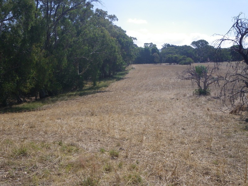 Laura Blocks Road, Laura SA 5480