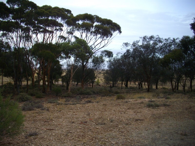 Hatter’s Road, Crystal Brook SA 5523