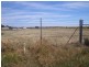Lot  732 Arthur  Street, Booleroo Centre SA 5482