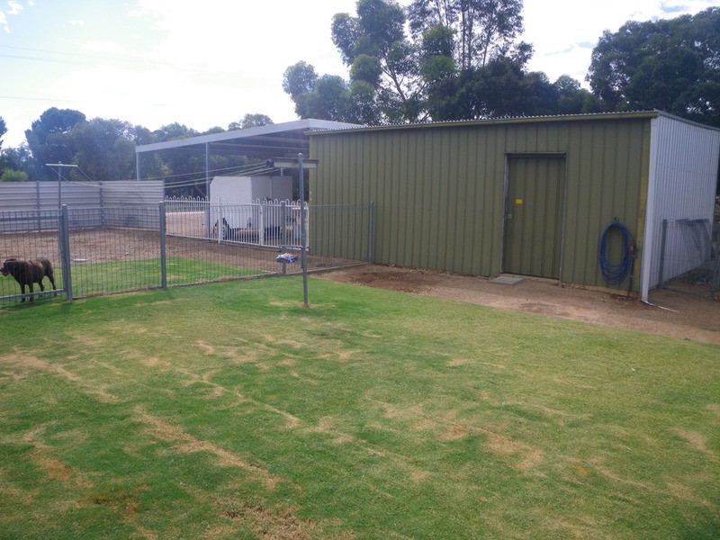 15 Mill Street, Gladstone SA 5473