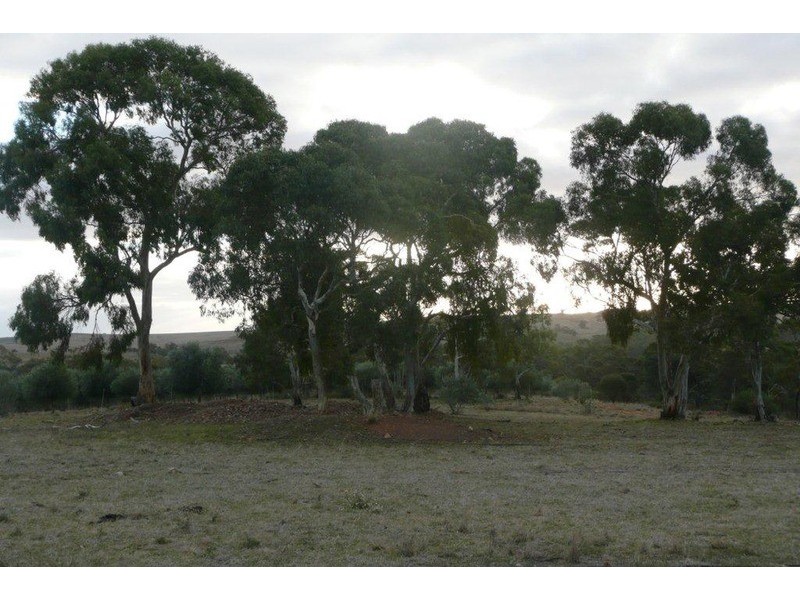 Sec 140 Beetaloo Valley Rd, Beetaloo, Laura SA 5480