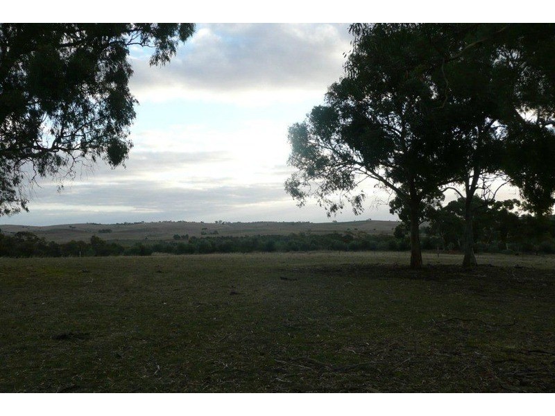 Sec 140 Beetaloo Valley Rd, Beetaloo, Laura SA 5480