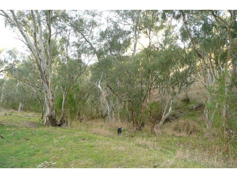 Sec 140 Beetaloo Valley Rd, Beetaloo, Laura SA 5480