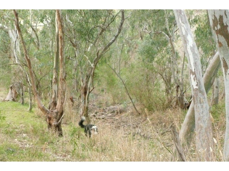 Sec 140 Beetaloo Valley Rd, Beetaloo, Laura SA 5480