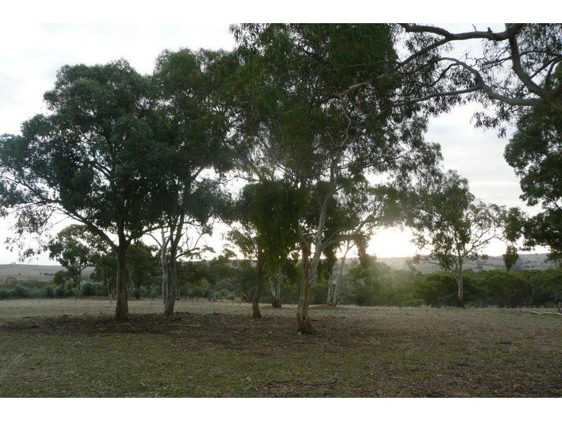 Sec 140 Beetaloo Valley Rd, Beetaloo, Laura SA 5480