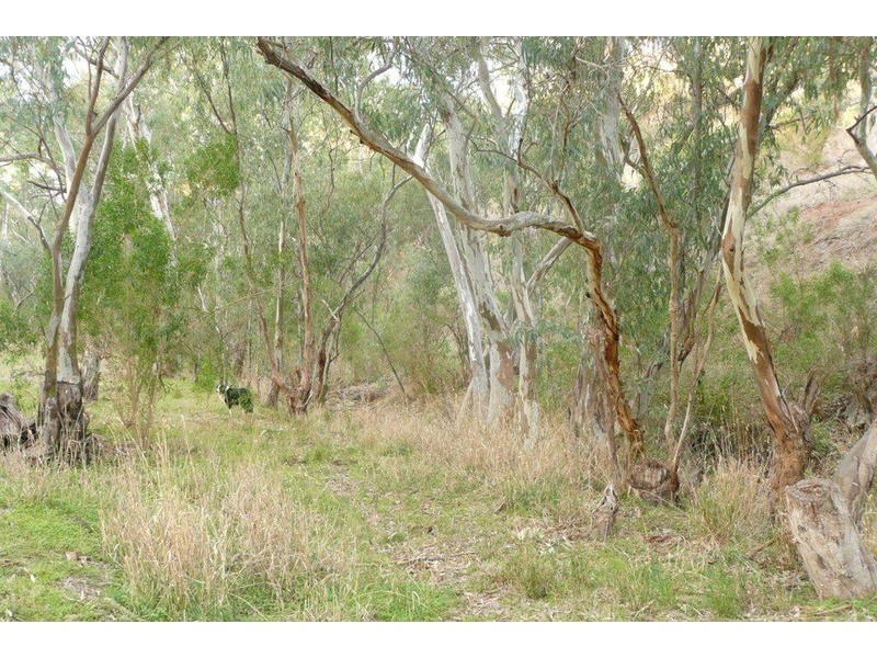 Sec 140 Beetaloo Valley Rd, Beetaloo, Laura SA 5480