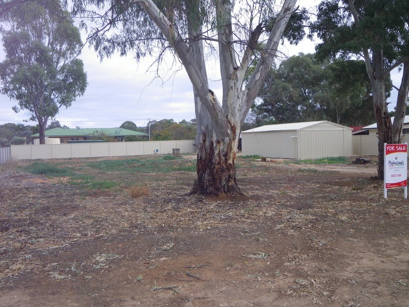 33 West Terrace, Laura SA 5480