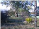 38 West Terrace, Laura SA 5480