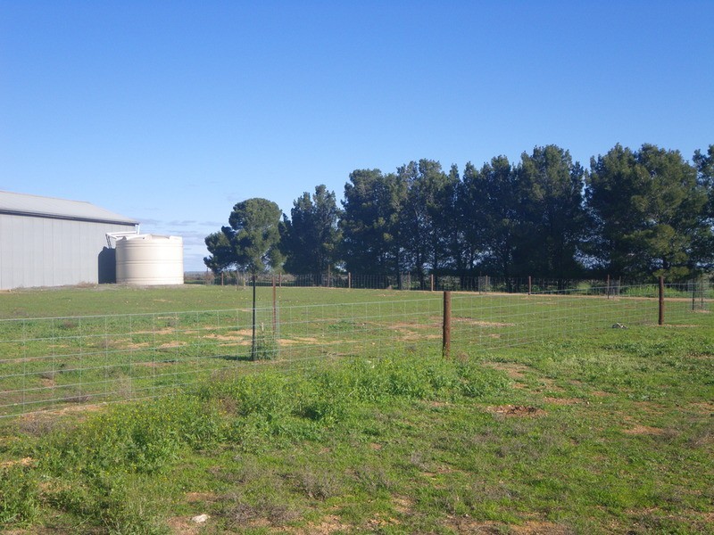 Lot 778  Laura Appila Road, Appila SA 5480
