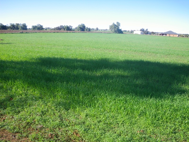 Lot 582 Campbell  Street, Laura SA 5480