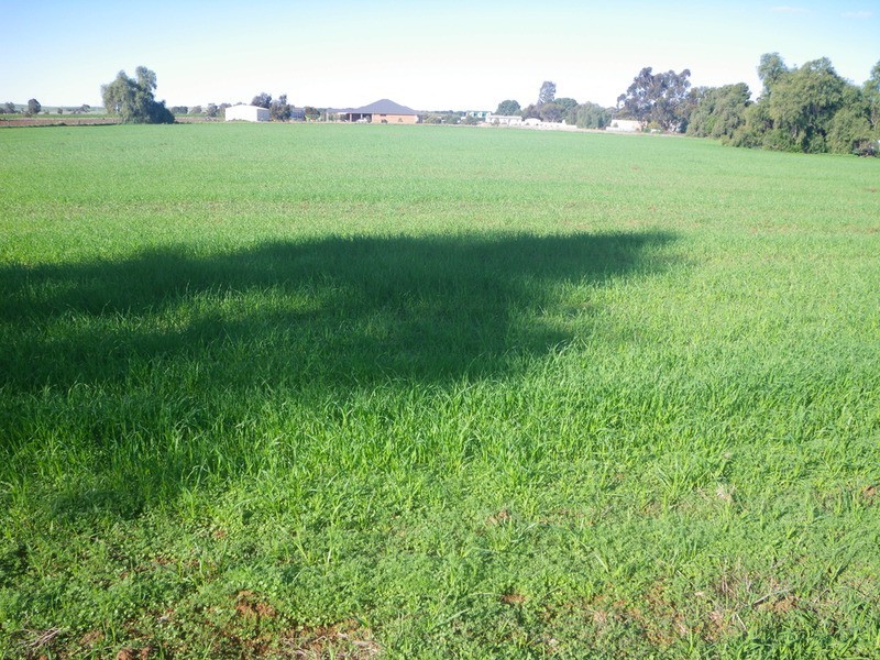 Lot 582 Campbell  Street, Laura SA 5480