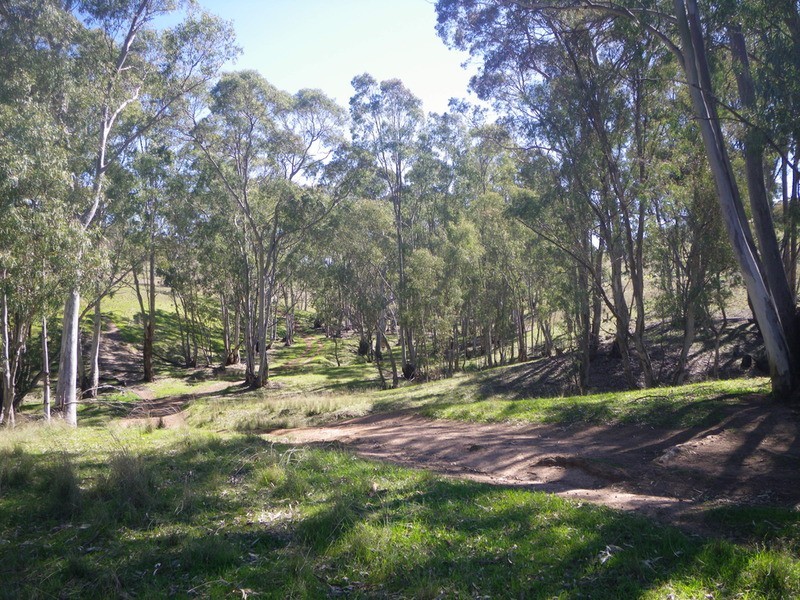 Section 194 Beetaloo Valley, Laura SA 5480