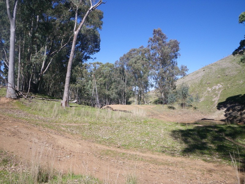 Section 194 Beetaloo Valley, Laura SA 5480