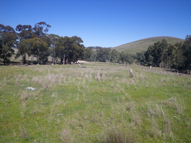 Section 194 Beetaloo Valley, Laura SA 5480