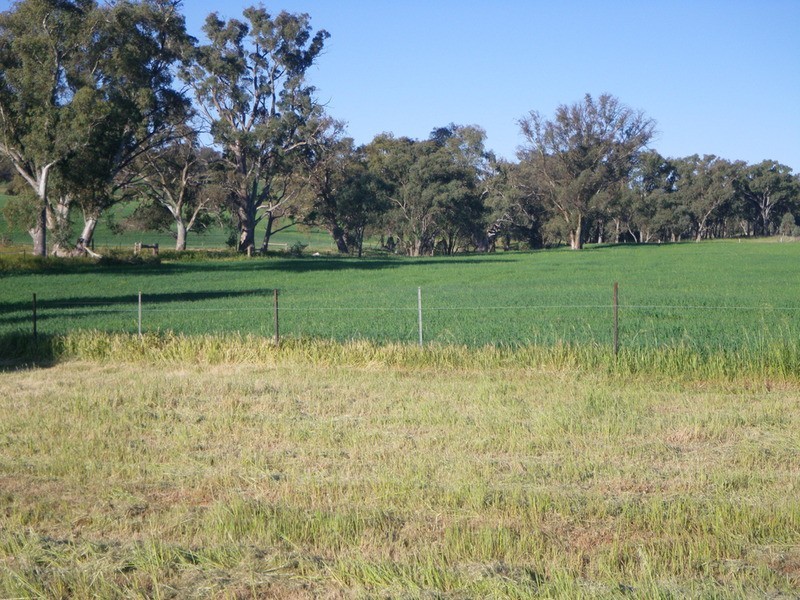 Wegner Road, Wirrabara SA 5481