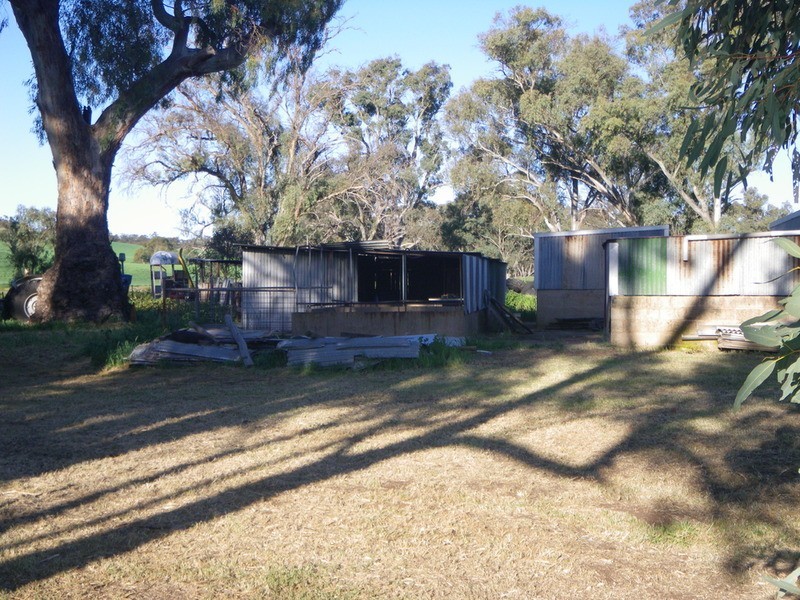 Wegner Road, Wirrabara SA 5481