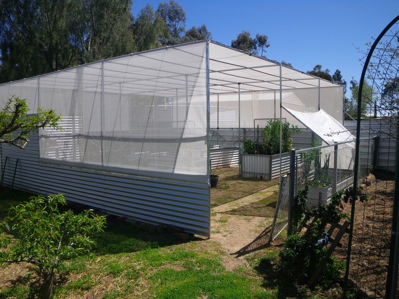 37 West Terrace, Laura SA 5480