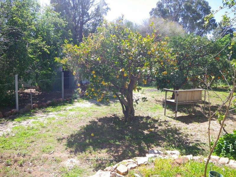 37 West Terrace, Laura SA 5480