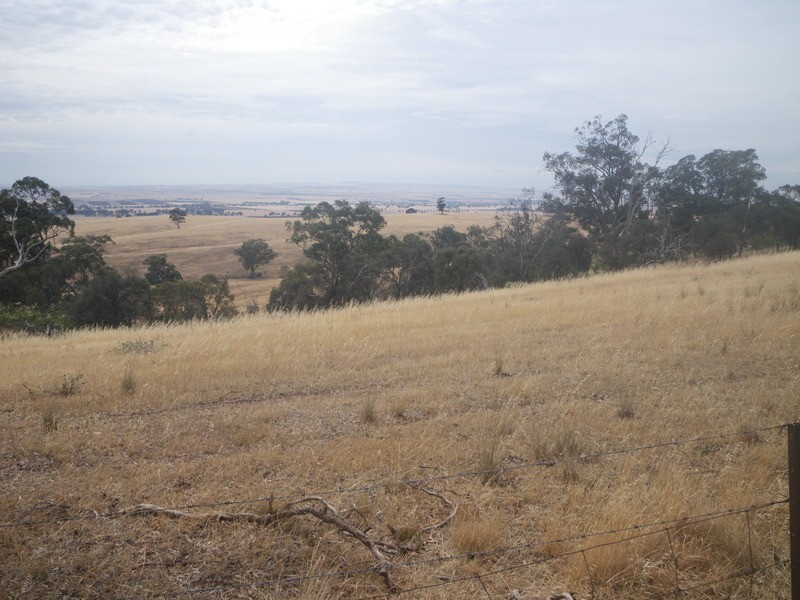 Laura Farming & Grazing, Laura SA 5480