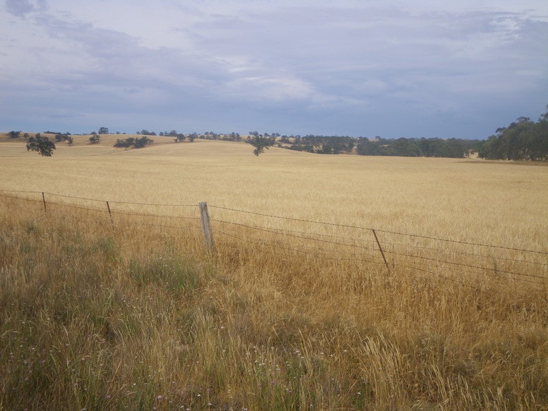 Laura Farming & Grazing, Laura SA 5480