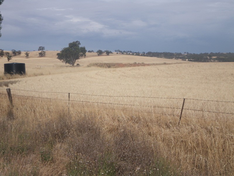 Laura Farming & Grazing, Laura SA 5480